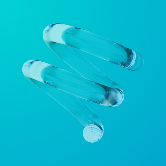 Support Plan